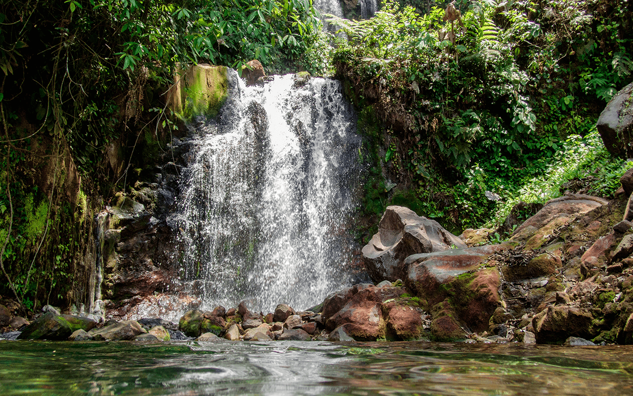 FOTOS SITE COSTA RICA  0004s 0000 shutterstock 484825657