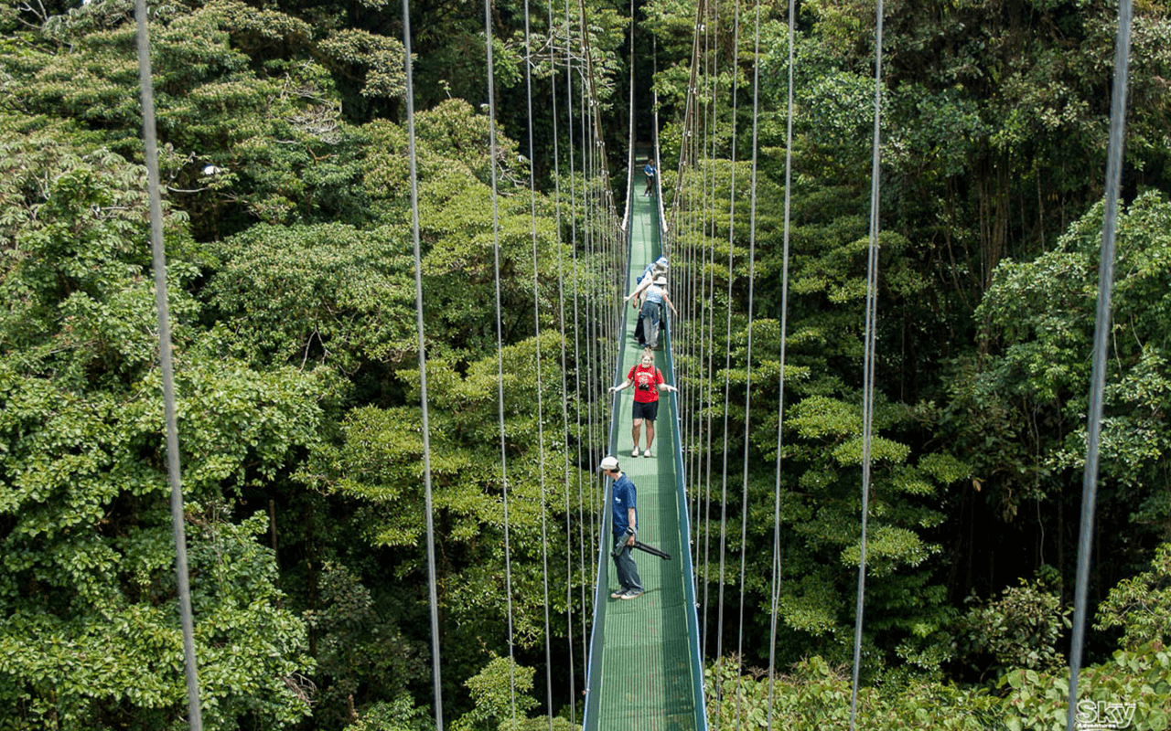 FOTOS SITE COSTA RICA  0010s 0001 Sky Walk 3