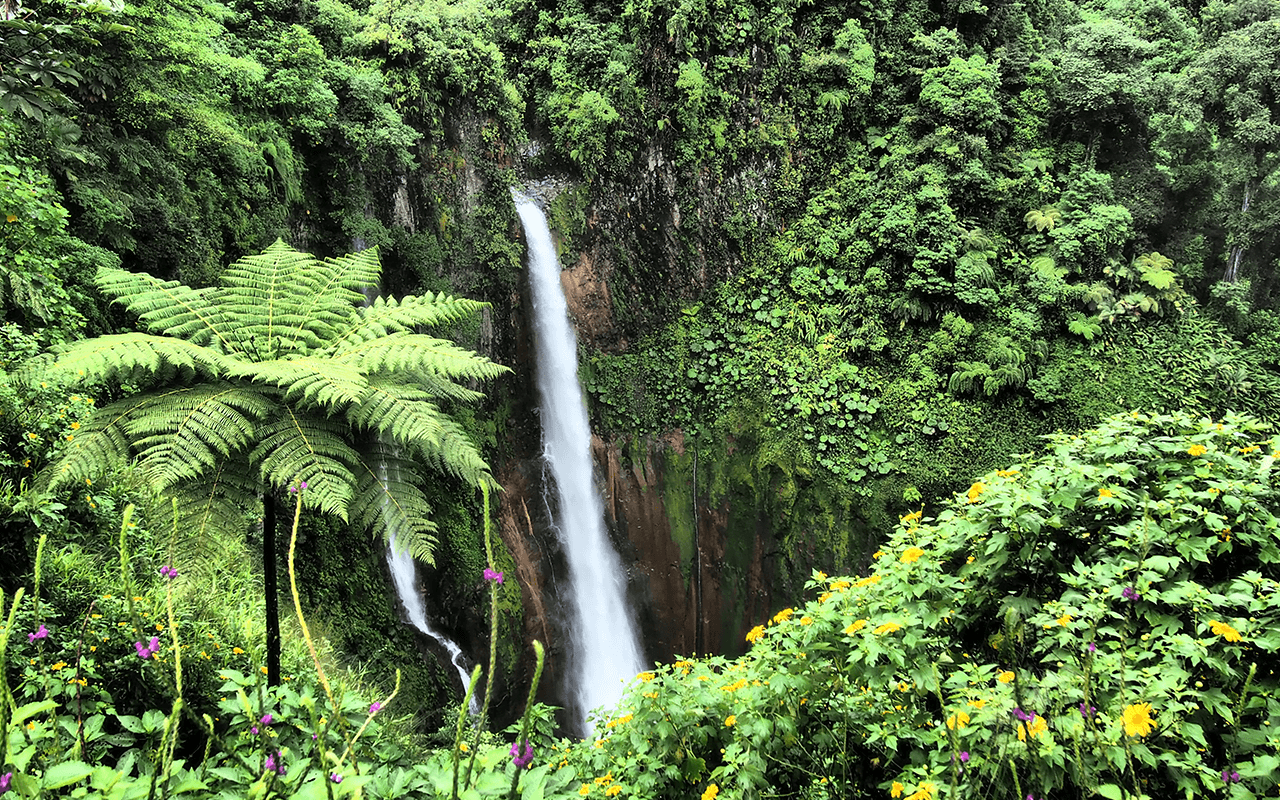 FOTOS SITE COSTA RICA  0014s 0000 shutterstock 515571001 catarata del toro