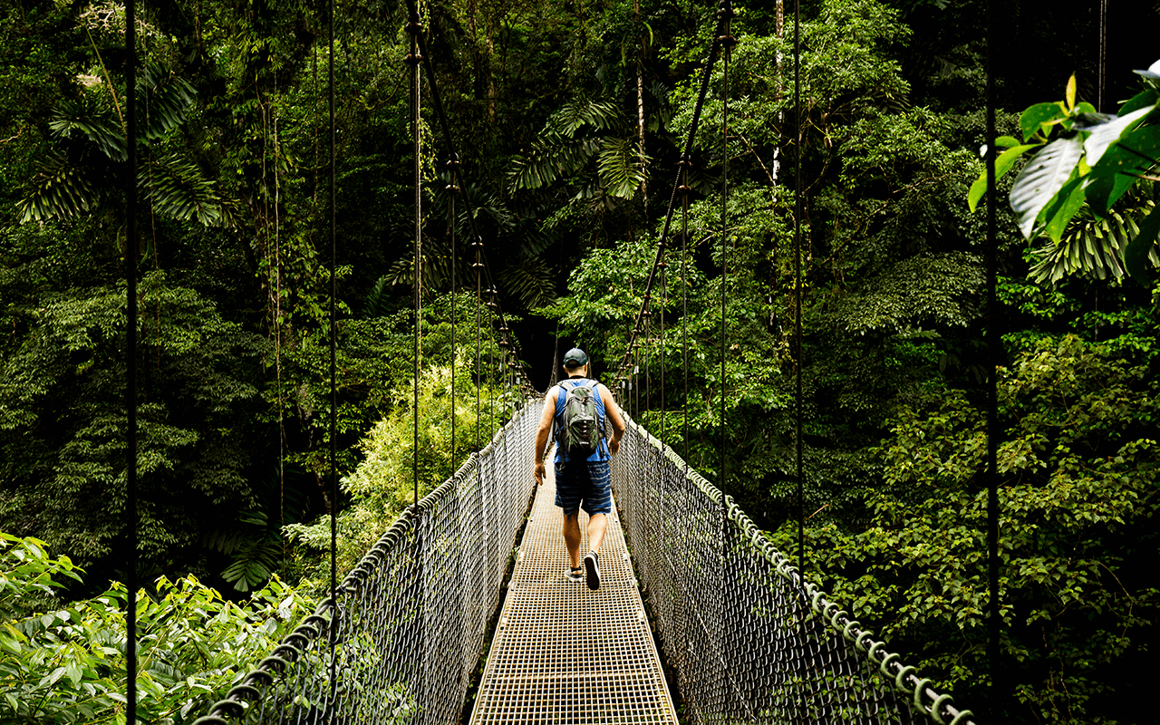 Man on Hanging Bridge