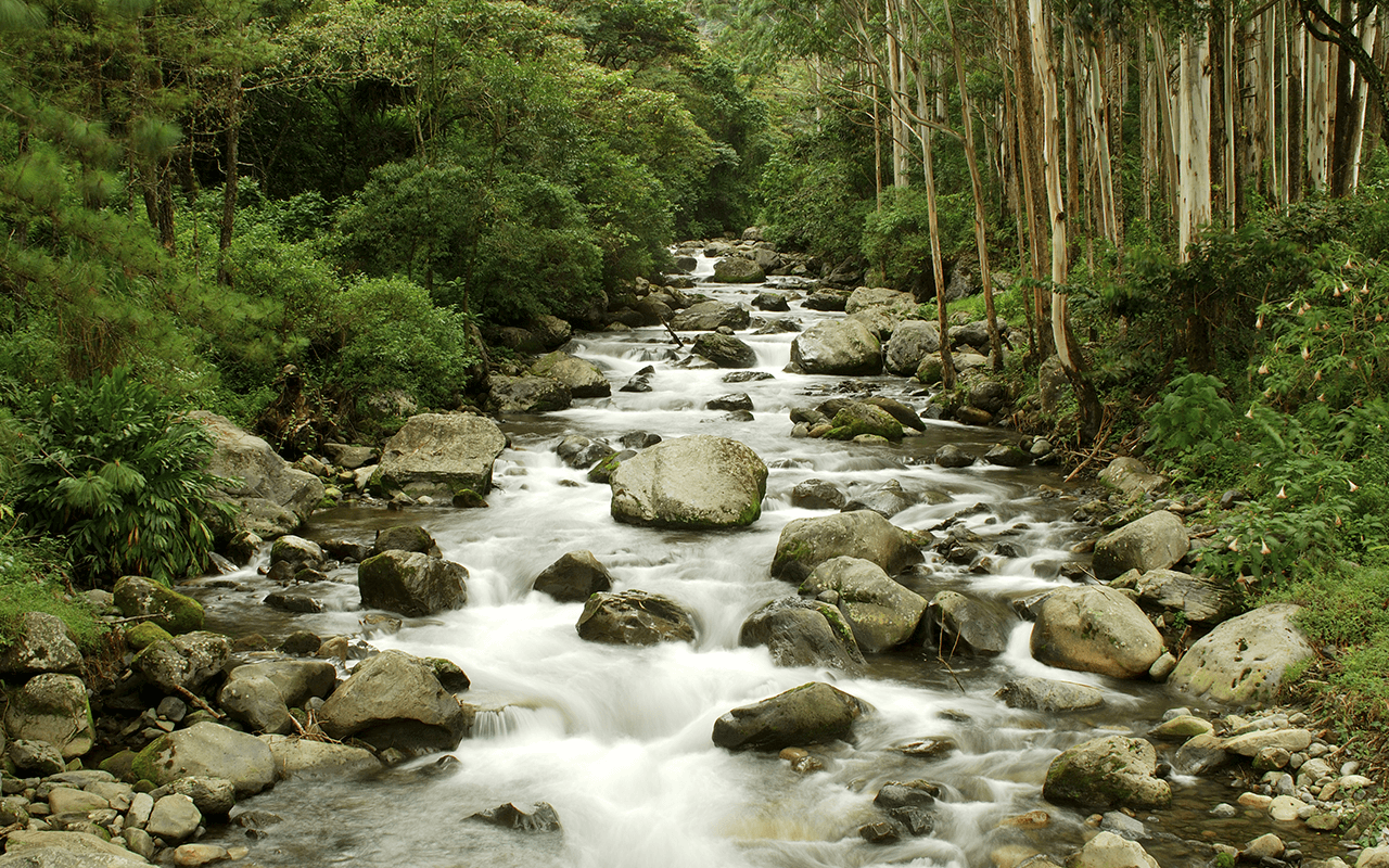 FOTOS SITE PANMAMÁ 0010s 0001 PYT Chiriqui gallery 02